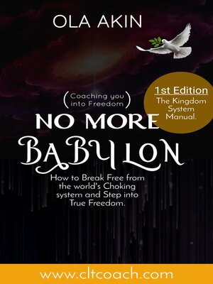 cover image of No More Babylon